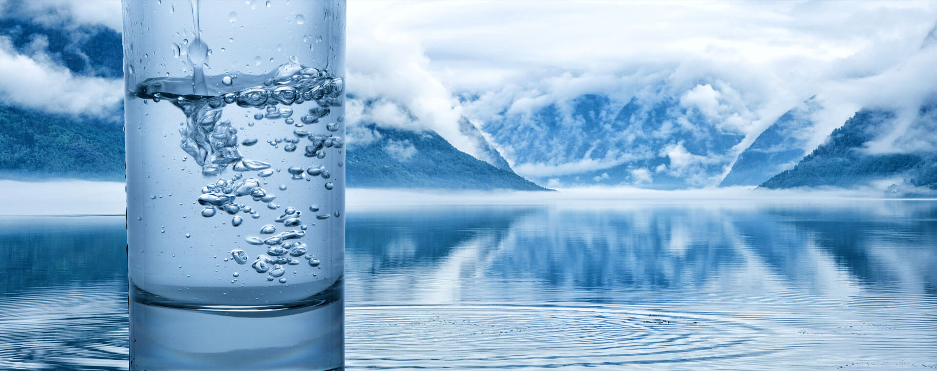 Spring Water vs Purified Water